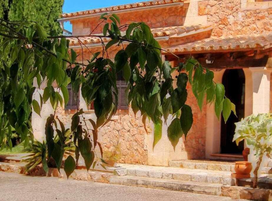 Ciclismo Y Golf Junto A La Playa Finca Son Sant Marti Gran Villa Muro Kültér fotó
